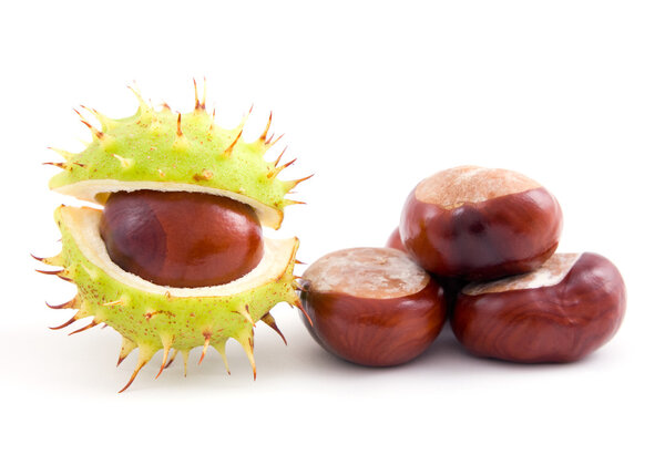 Chestnuts on isolated