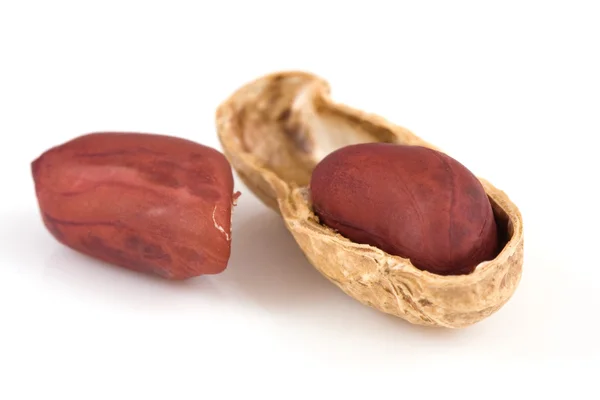 Peanut on isolated — Stock Photo, Image