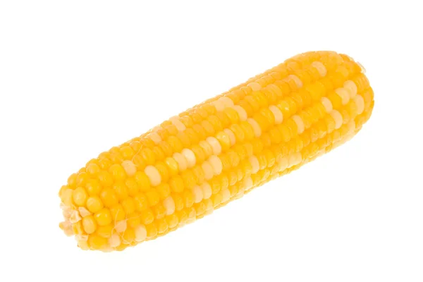 Sweet corn on isolated — Stock Photo, Image