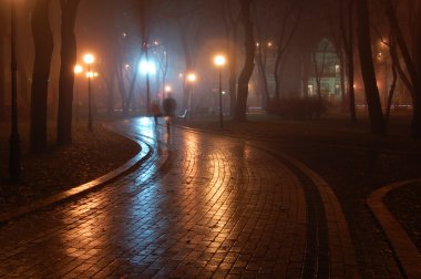 Mariinsky park at night clipart