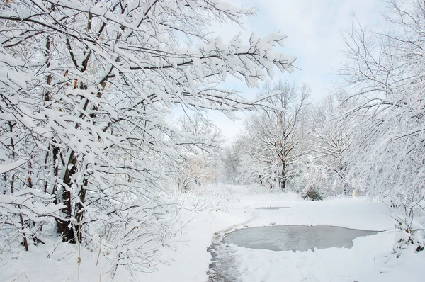 Winterlandschap — Stockfoto