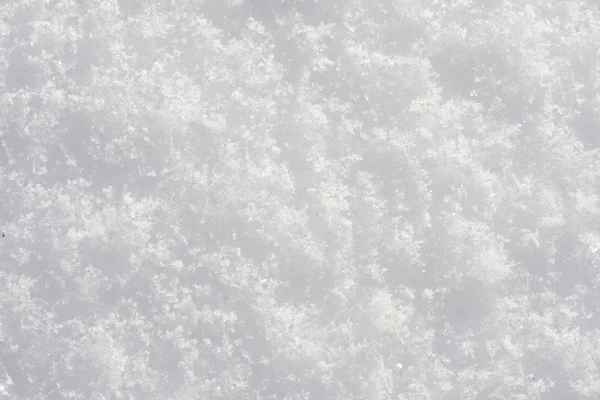 Achtergrond met sneeuw — Stockfoto