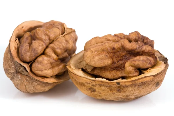 Vlašské ořechy na izolované — Stock fotografie