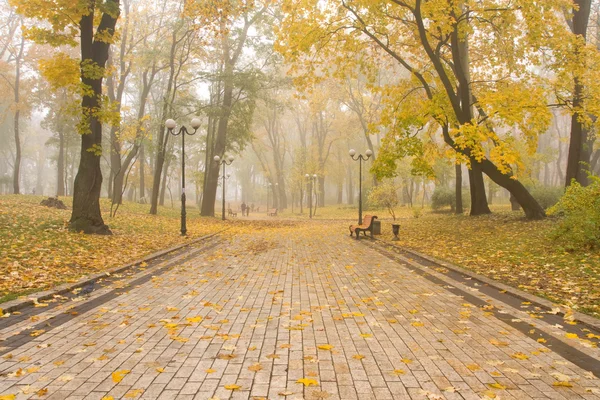 Mariinsky sisli park — Stok fotoğraf