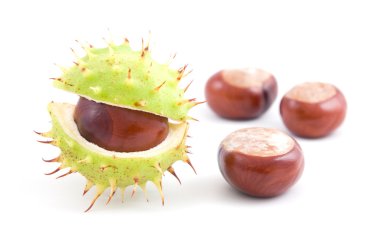 Chestnuts on isolated clipart