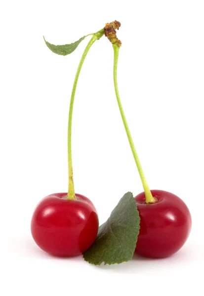 Cherry isolated — Stock Photo, Image