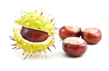 Chestnuts on isolated clipart