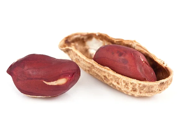 Sušené arašídové na izolované — Stock fotografie