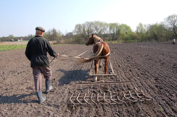 Agricultor en el trabajo —  Fotos de Stock