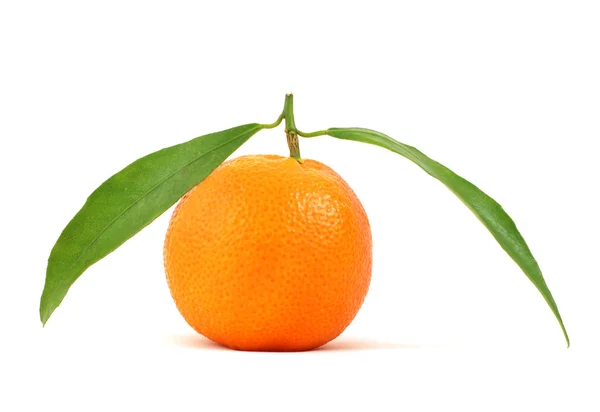 Tangerine on isolated — Stock Photo, Image