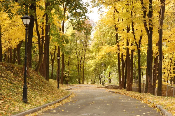 Taman musim gugur Mariinsky — Stok Foto
