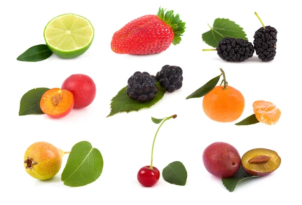 Коллекционные фрукты — стоковое фото