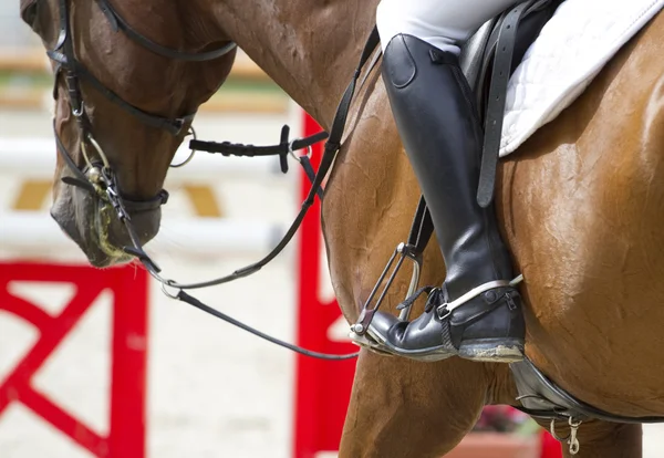 Paardrijden jockey — Stockfoto
