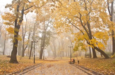 Kiev Mariinsky sisli park