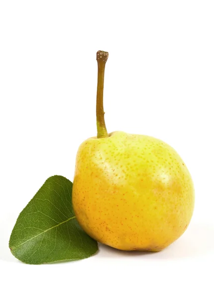 Pear isolated — Stock Photo, Image