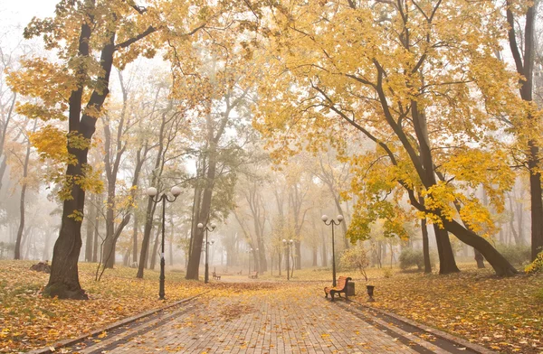 Мариинский туманный парк в Киеве — стоковое фото