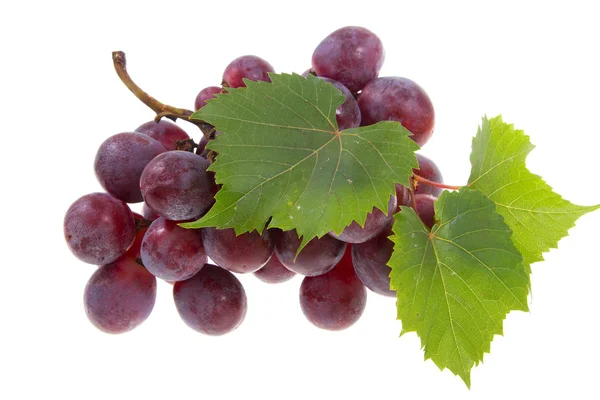Winogron na białym tle — Zdjęcie stockowe