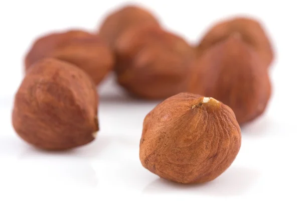 Lískové ořechy, samostatný — Stock fotografie