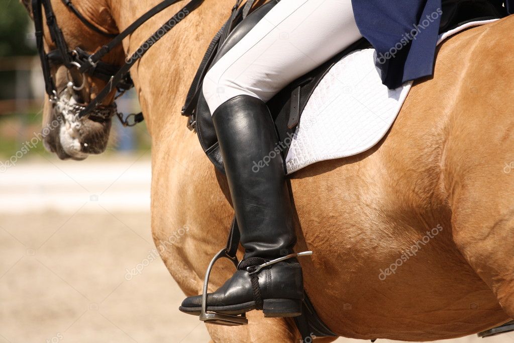 Human leg on horse