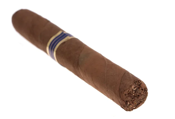Cigarr på isolerade — Stockfoto