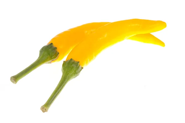 Gelbe Chilischote — Stockfoto