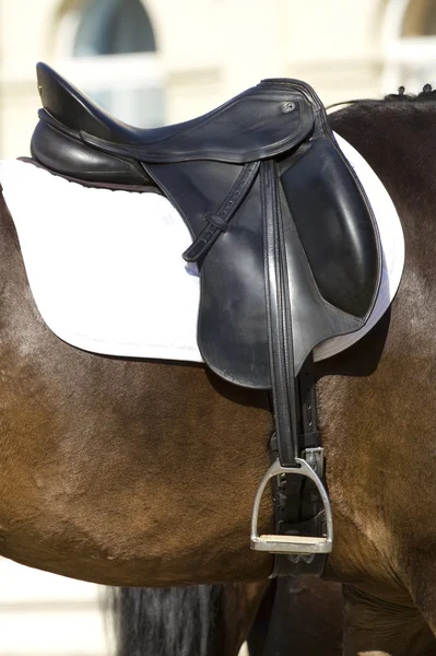 Horse saddle — Stock Photo, Image