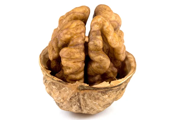 Vlašské ořechy, samostatný — Stock fotografie