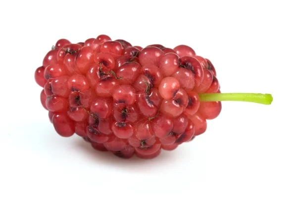 Red mulberry — Stock Photo, Image