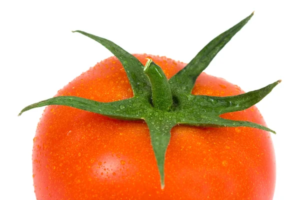Tomate em isolado — Fotografia de Stock