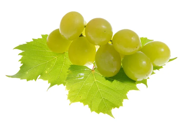 Zielony winogron na białym tle — Zdjęcie stockowe