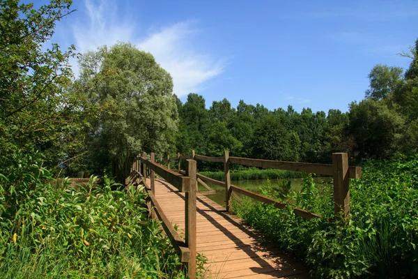 Ponte de madeira em Borgonha — Fotografia de Stock