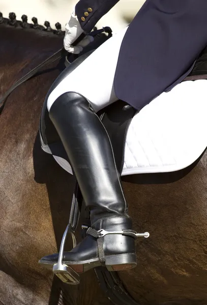 Dressage horse and rider Stock Image