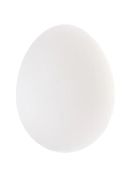 Fehér tojás — Stock Fotó