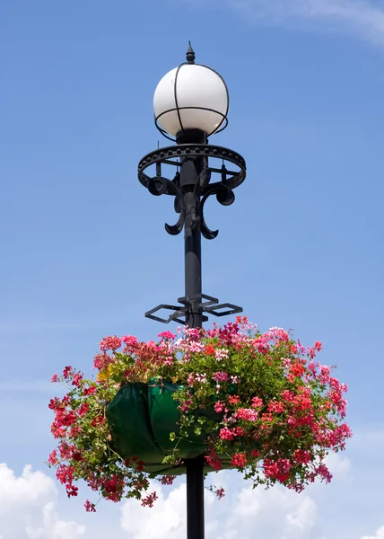 Lucerna a květiny — Stock fotografie