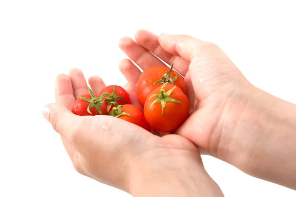 Κόκκινες ντομάτες στα χέρια του παιδιού — Φωτογραφία Αρχείου