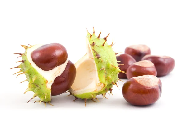 Chestnuts on isolated — Stock Photo, Image