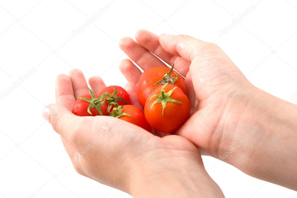Red tomatoes in child's hands