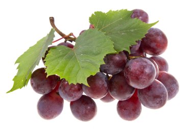 Red grape clipart