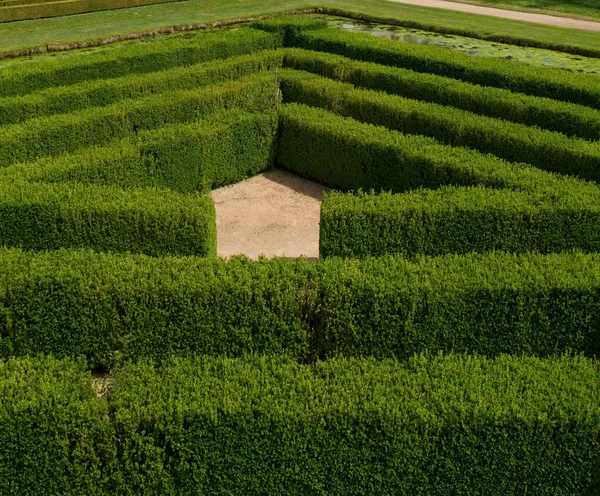 Labyrint til pynt – stockfoto