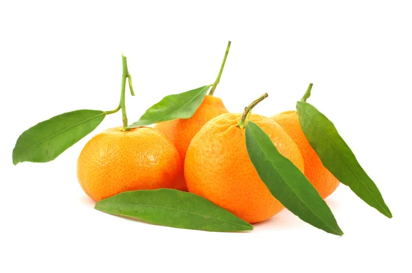 Mandarinas aisladas —  Fotos de Stock