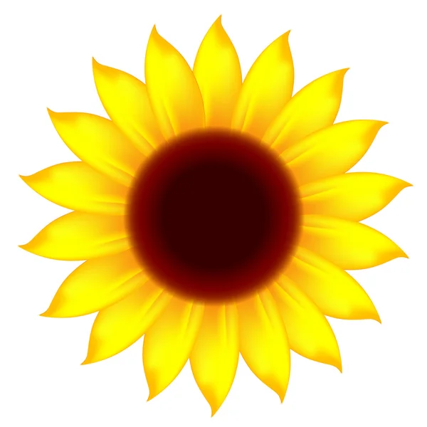 Symbol der Sonnenblume — Stockvektor