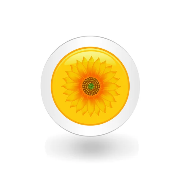Button on the sunflower — Stock Vector