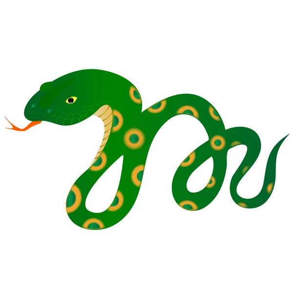 Ilustrace Snake — Stockový vektor