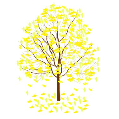 Ginkgo leaves clipart