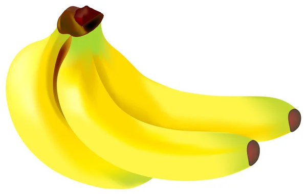 Banana —  Vetores de Stock