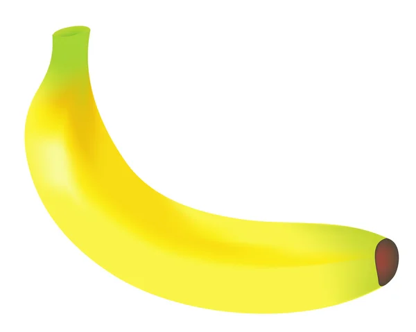 Banane — Stockvektor