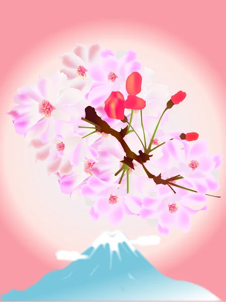 Άνθη κερασιάς — Διανυσματικό Αρχείο