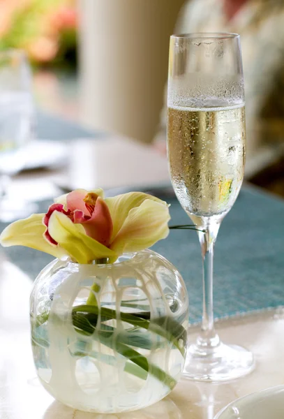 Champagne och orkidé — Stockfoto