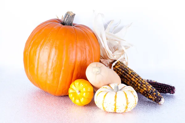 Mini Pumpkins and Gourds — Stock Photo, Image