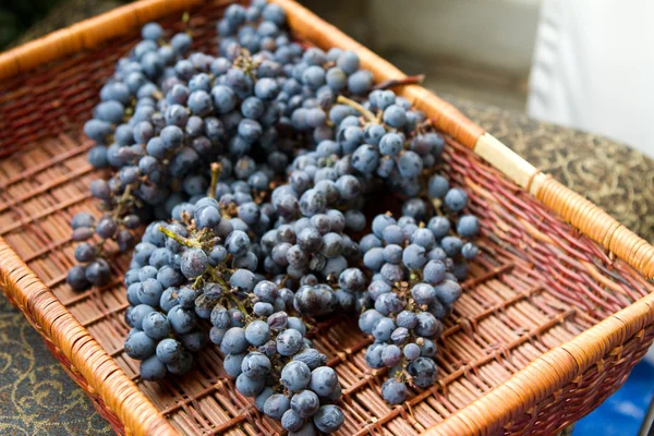 Basket of Grapes — Stock Photo, Image